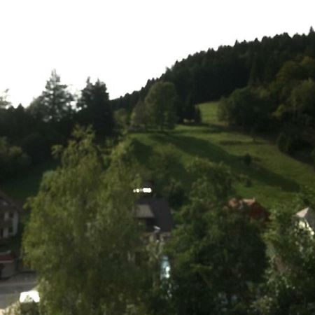 Fewo Mit Pool Haus Enere Au Todtmoos Luaran gambar