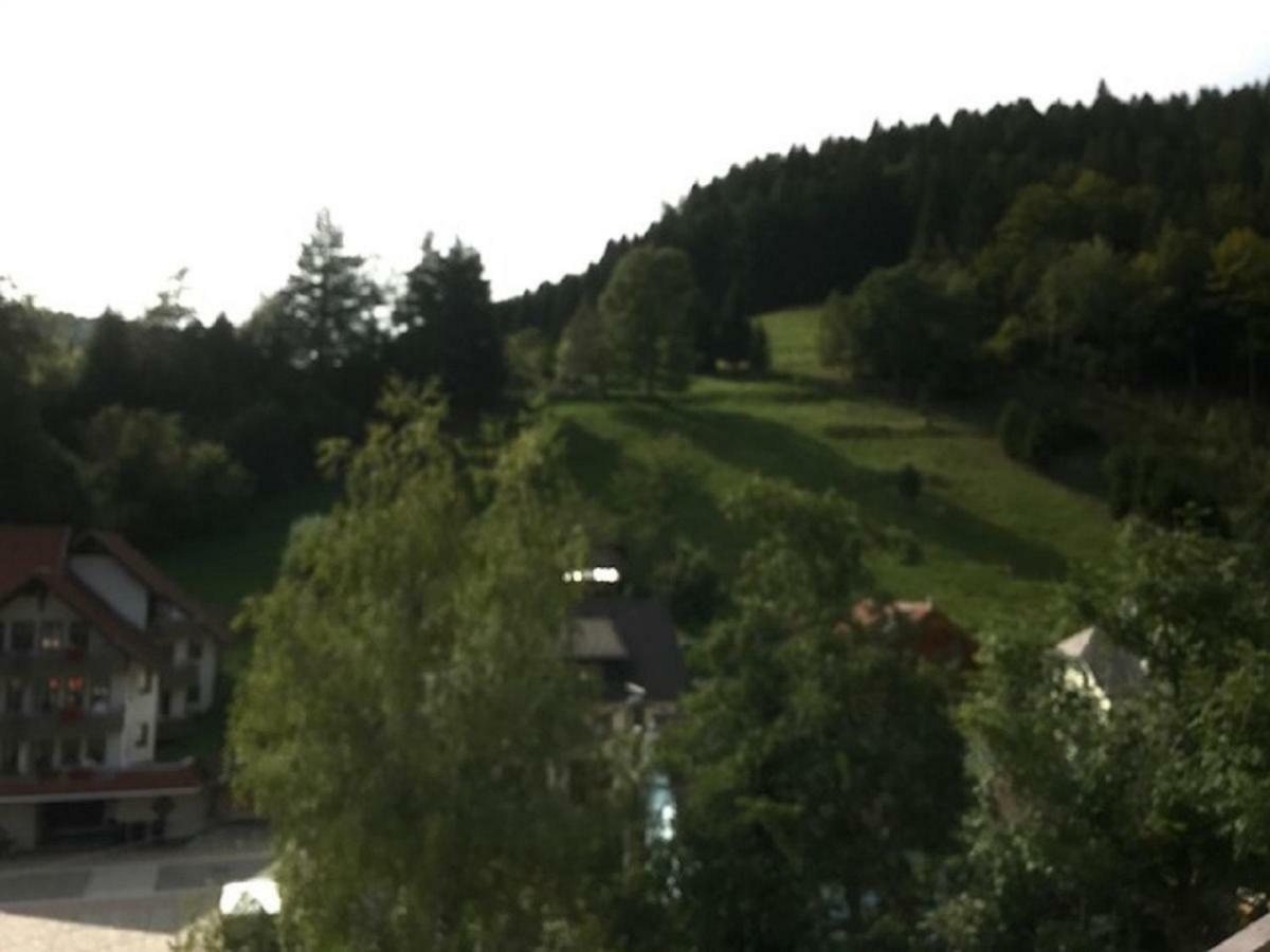Fewo Mit Pool Haus Enere Au Todtmoos Luaran gambar