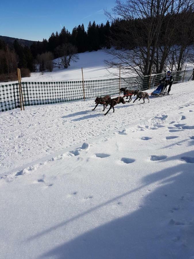 Fewo Mit Pool Haus Enere Au Todtmoos Luaran gambar